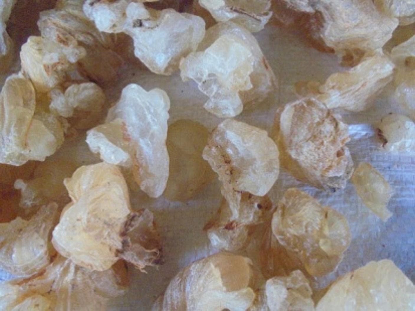 Gum Arabic & Gum Karaya — image 5