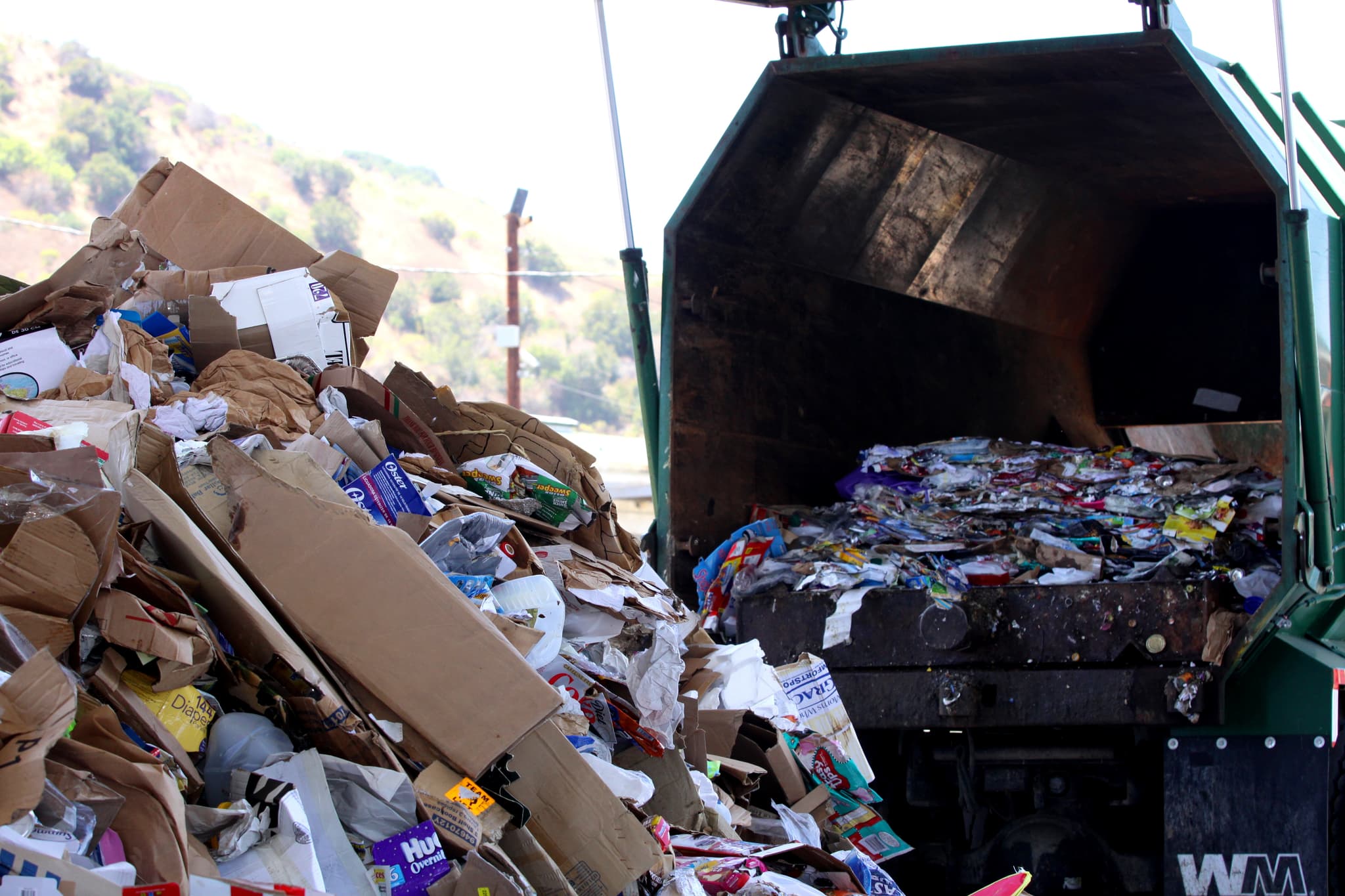 UBC Raw Material — image 3