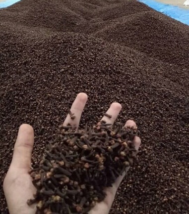 Cloves — image 1