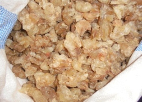 Gum Arabic / Karaya — image 2