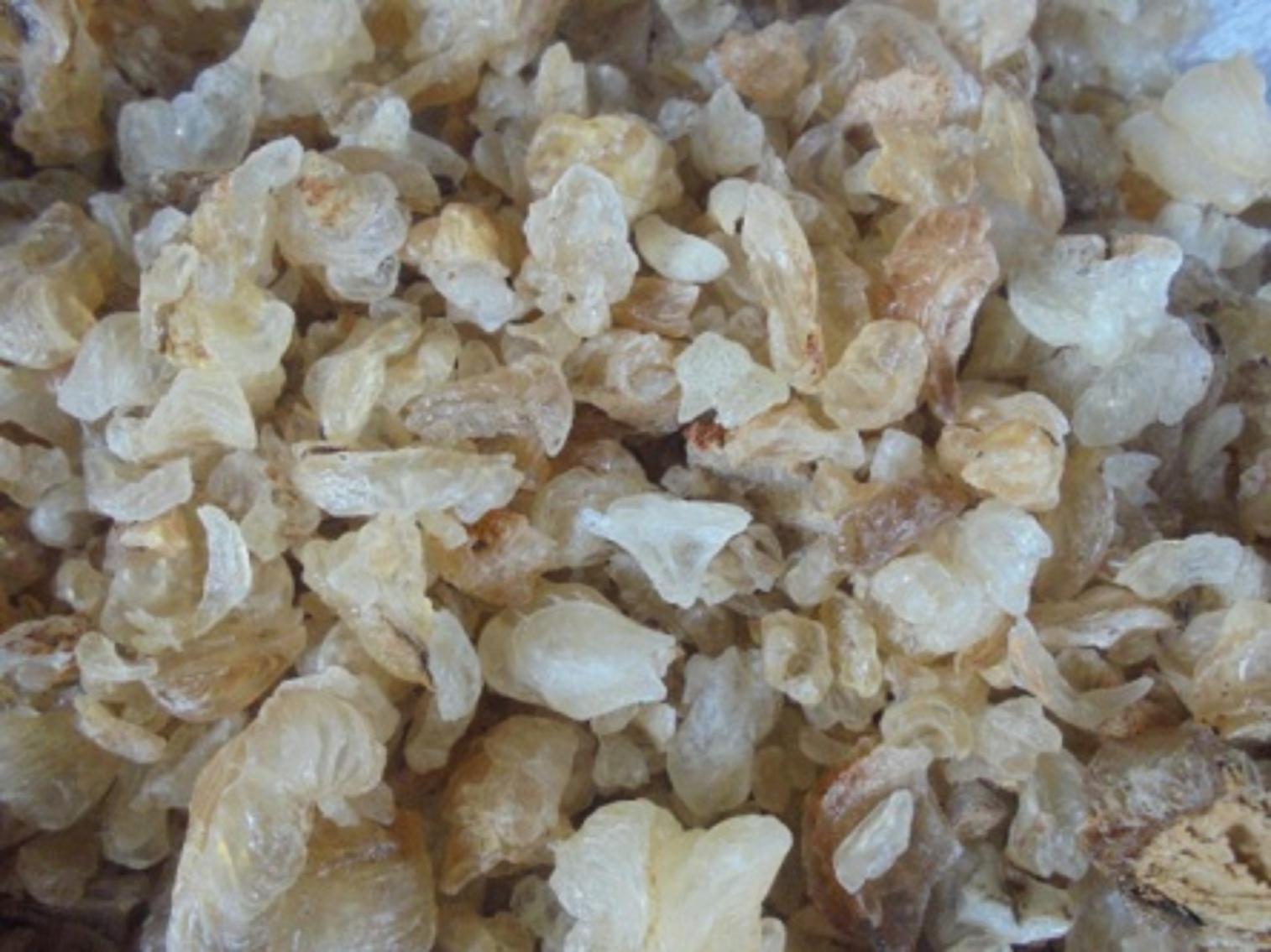 Gum Arabic / Karaya — image 3