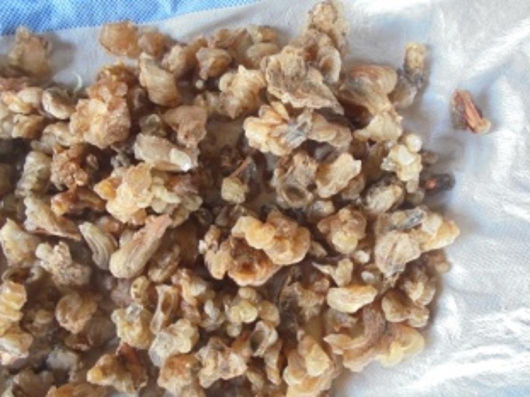 Gum Arabic / Karaya — image 4