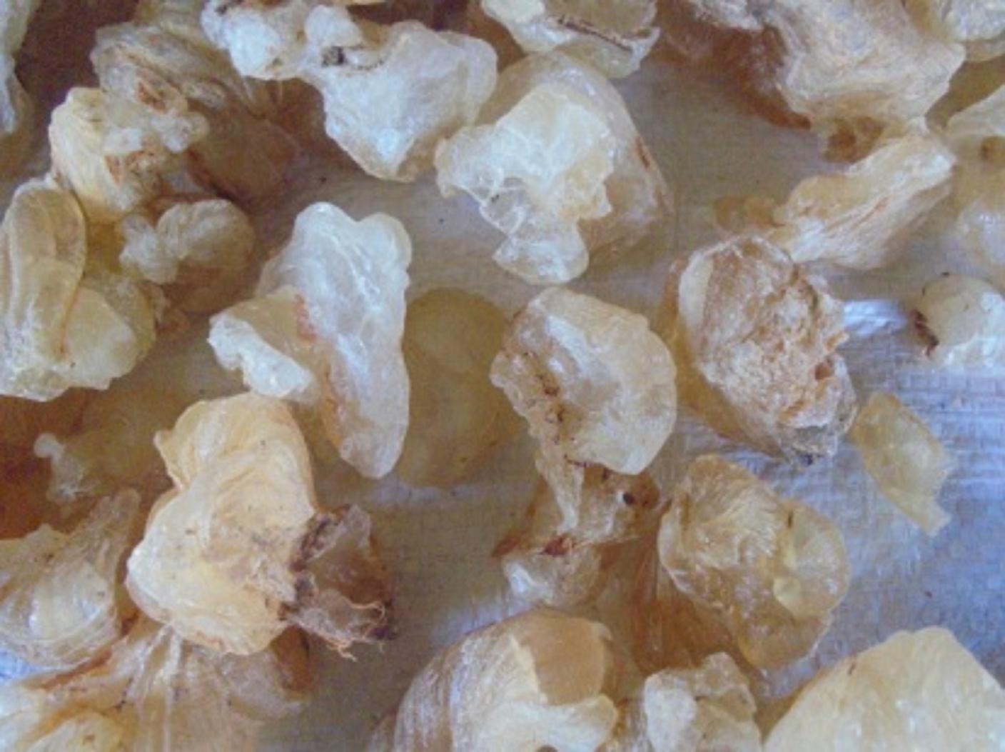 Gum Arabic / Karaya — image 5