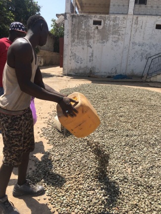 Raw Cashew Nuts — image 4