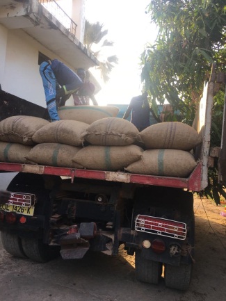 Raw Cashew Nuts — image 6