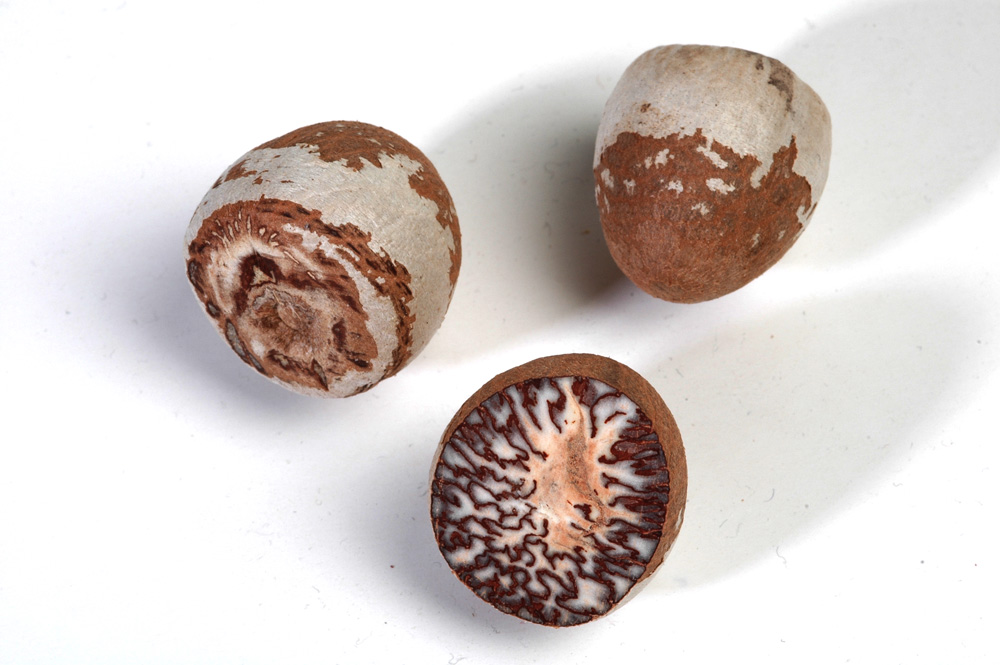 Close-up of supari / areca nuts
